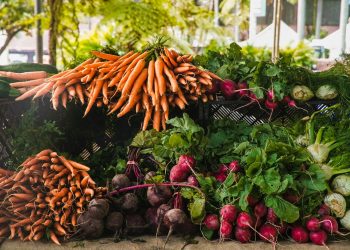 Radish And Carrots