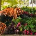 Radish And Carrots