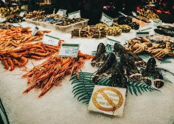 Assorted Seafood in a Market