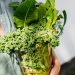 Unrecognizable Woman Hands Holding Transparent Glass Vase with Veg Leaves