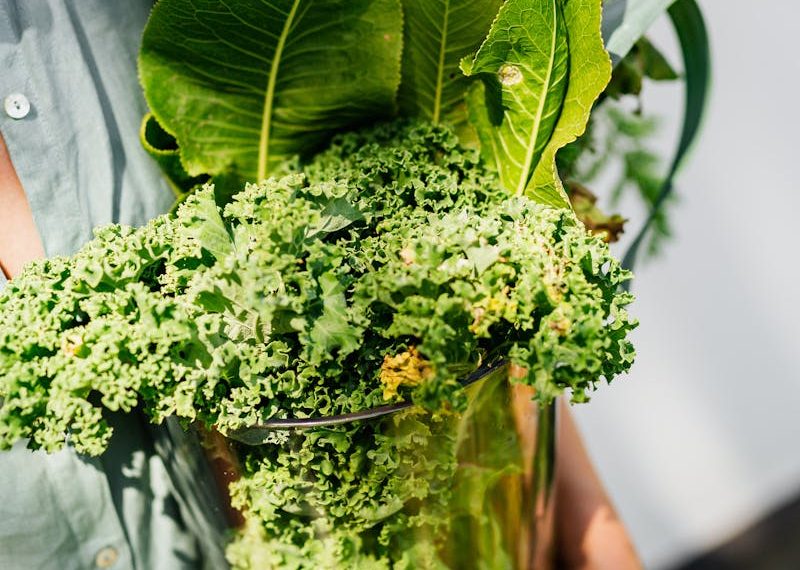 Unrecognizable Woman Hands Holding Transparent Glass Vase with Veg Leaves