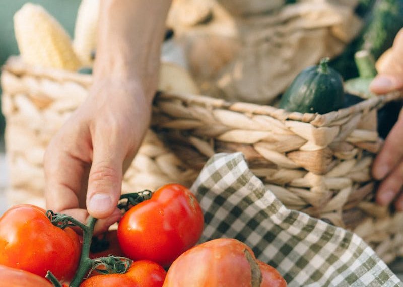 Person Holding Red Tomato Fruit