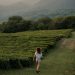 A Woman in White Shirt Walking on Green Grass Field