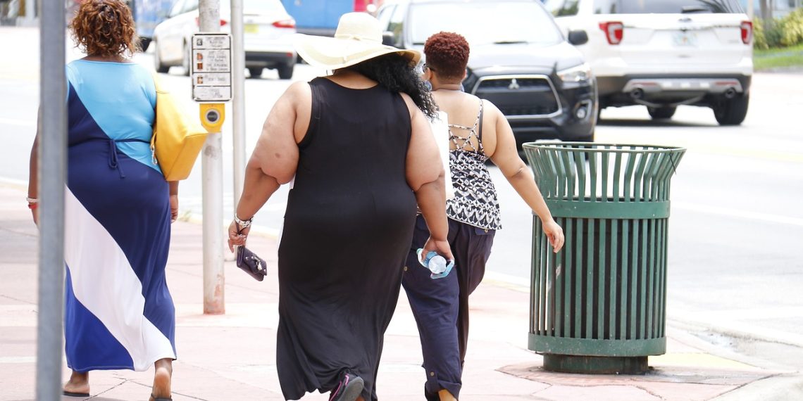 obesity, fat, nutritionist